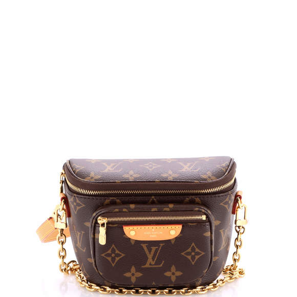 Louis Vuitton Mini Bum Bag Monogram Canvas - Picture 1 of 6